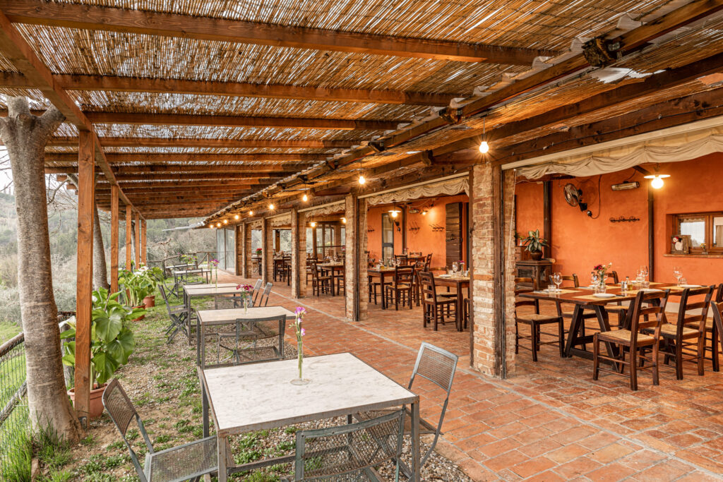 Lombricaia-di-Montalbino-052