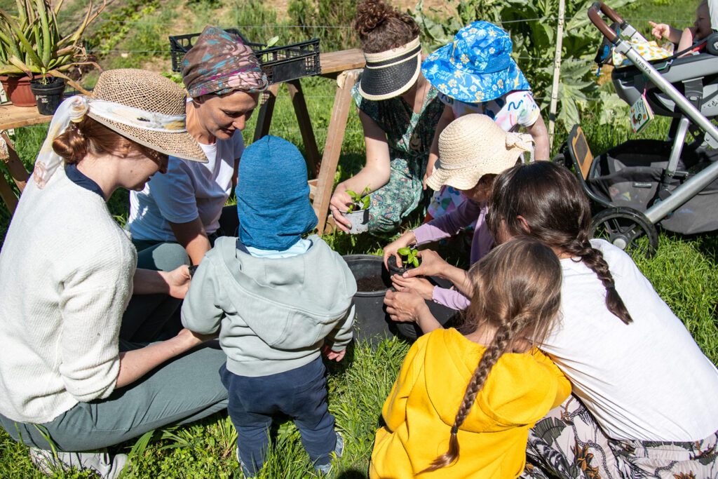 attivita-per-bambini-orto-agriturismo-di-montalbino6