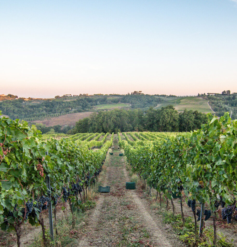 azienda-agricola