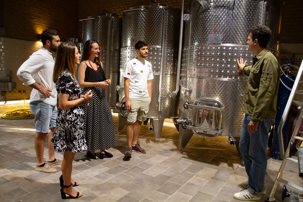 degustazione-vini-montespertoli-montalbino8