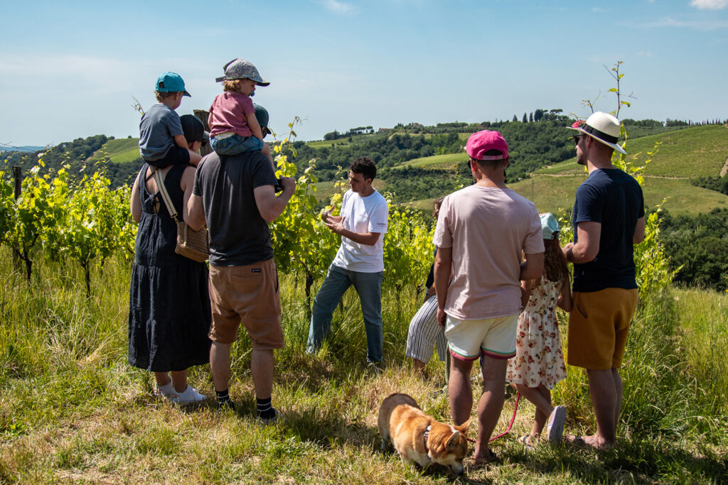 degustazione-vini-montalbino-montespertoli