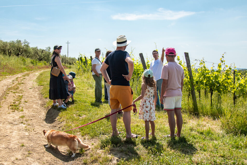 degustazione-vini-montalbino-montespertoli1