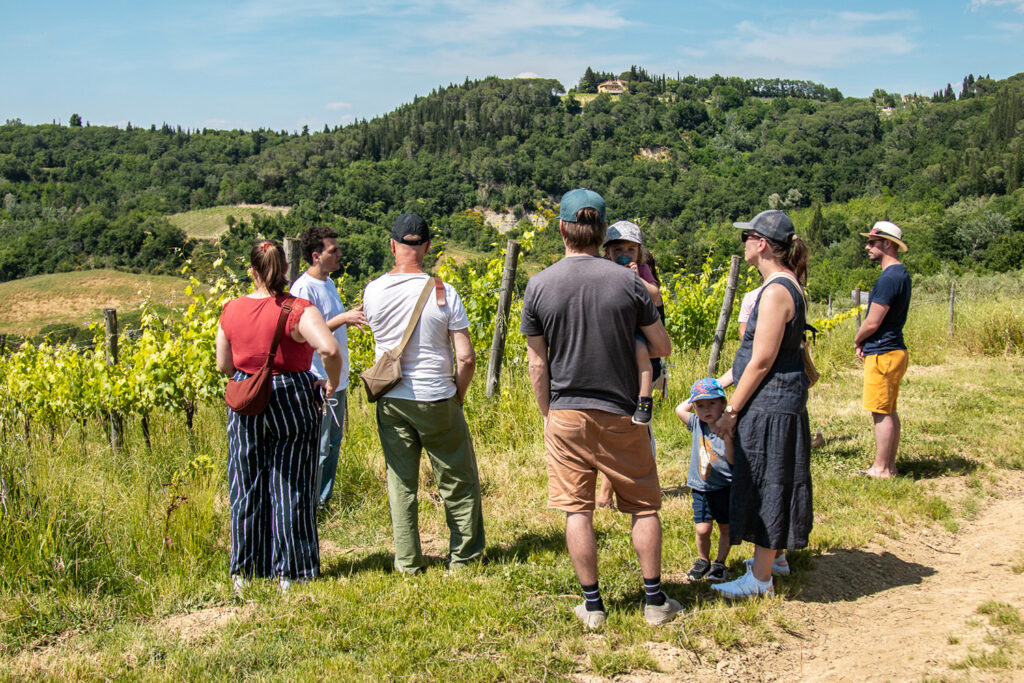 degustazione-vini-montalbino-montespertoli2