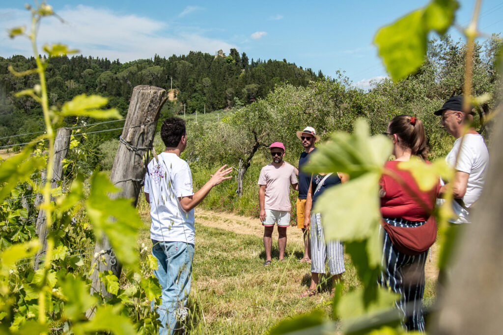degustazione-vini-montalbino-montespertoli7
